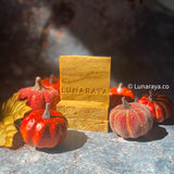 Pumpkins Spice No Latte | Soap Bar